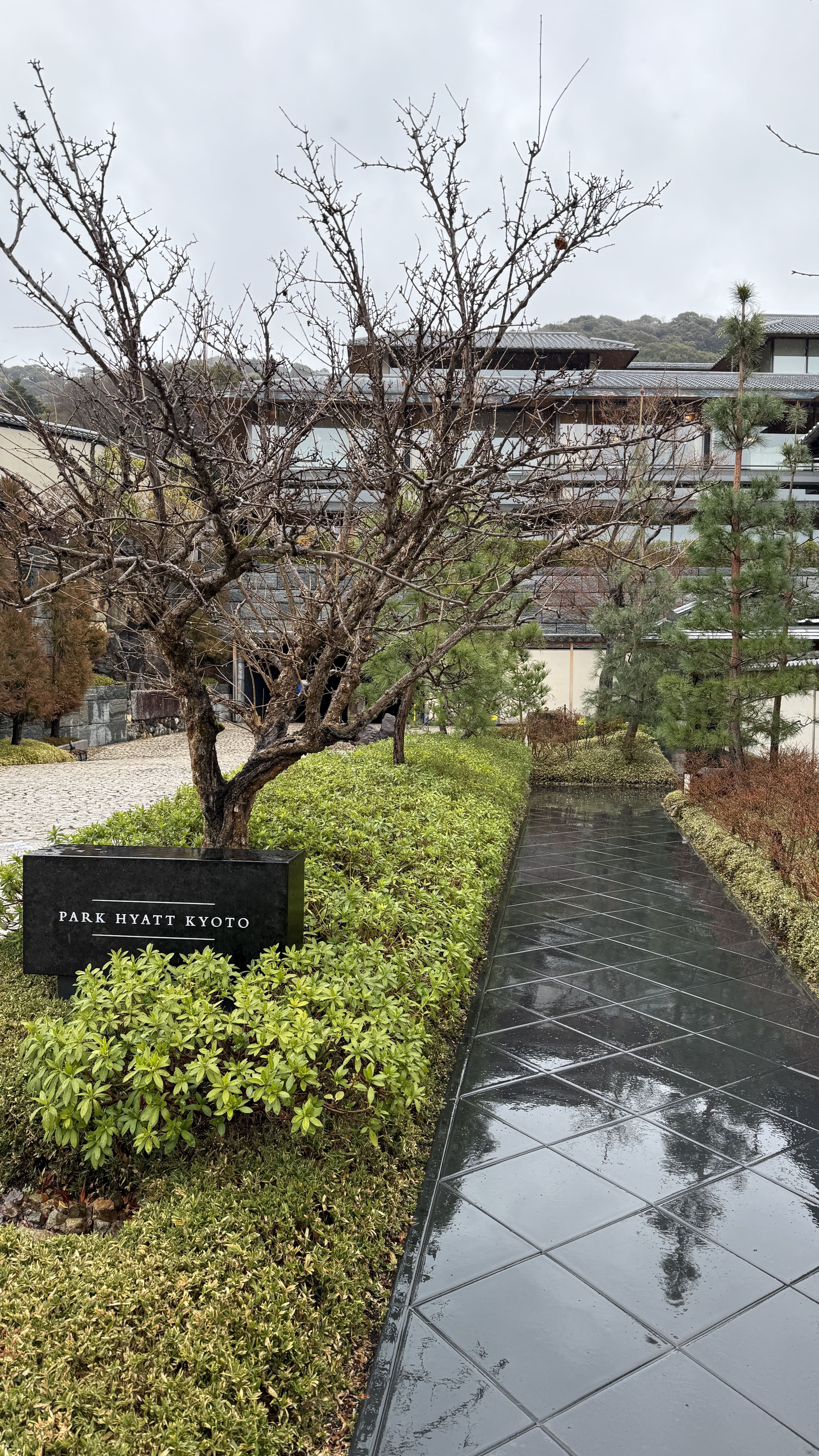 교토여행-기요미즈데라-가이세키-점심-파크-하얏트-교토