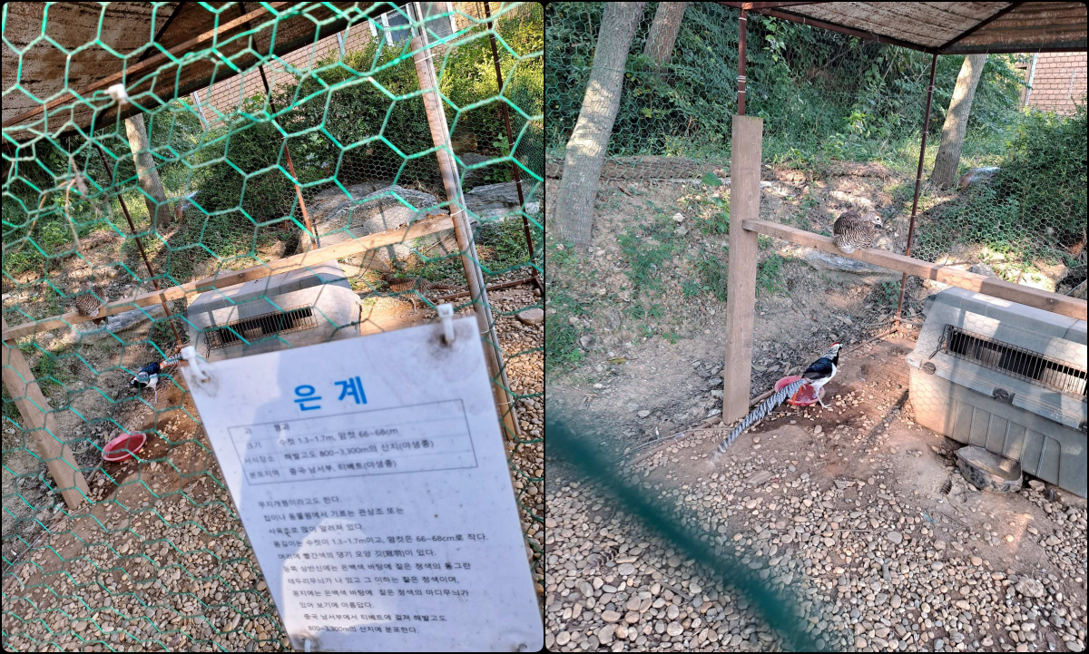 유리카페 은계농장