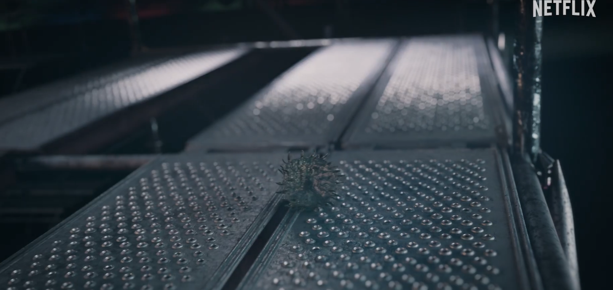 기생수 더 그레이