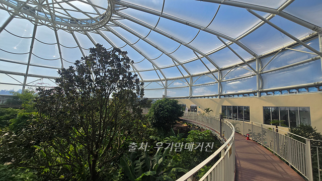 24년 순천만 국가정원 식물원 동문 순천여행