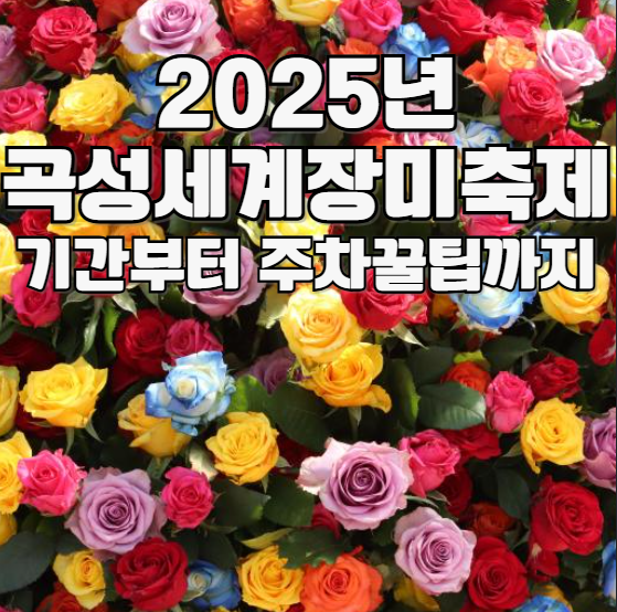 2025년 곡성세계장미축제 기간부터 주차꿀팁까지
