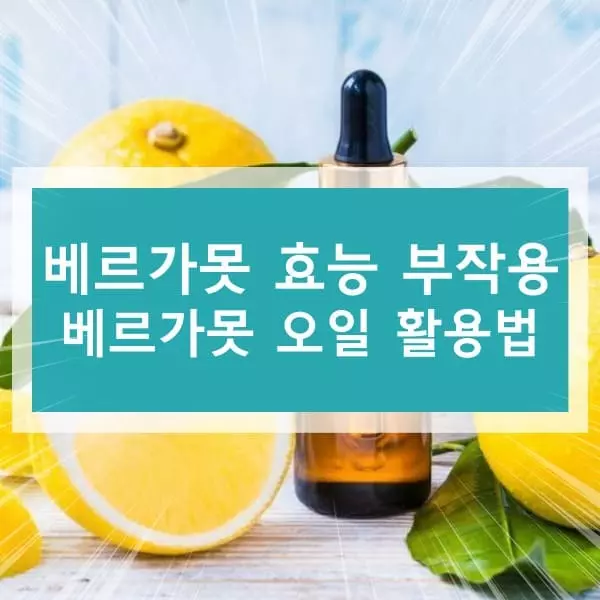 베르가못 효능 부작용에 대하여