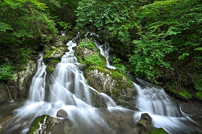 정선 숨바우길 제1용소