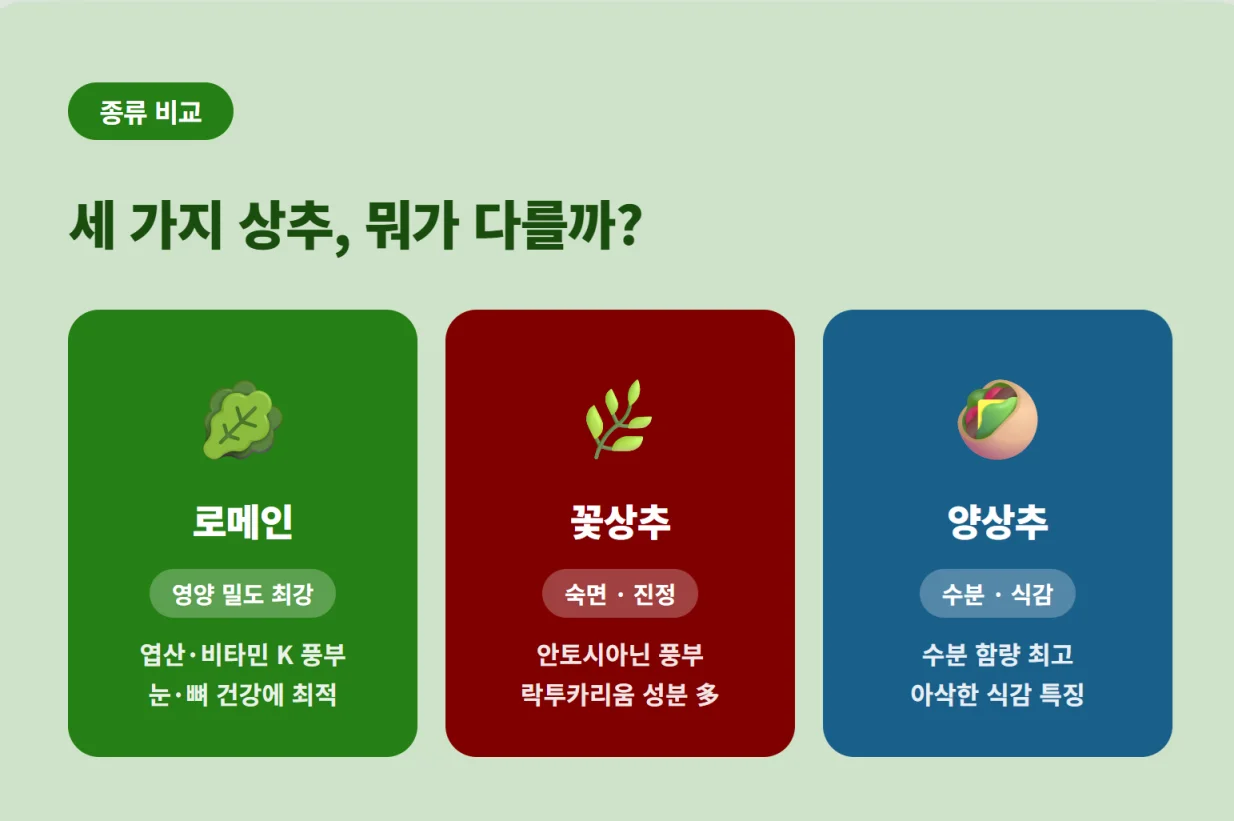 "로메인, 꽃상추, 양상추의 영양 밀도, 숙면 성분, 수분 함량 특징을 비교한 인포그래픽"