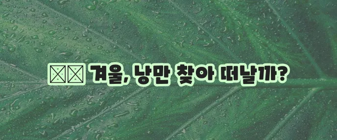 겨울 여행지 추천