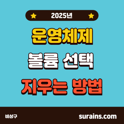 운영체제 부팅 시 볼륨 선택 없애기 방법 후기 (2025)