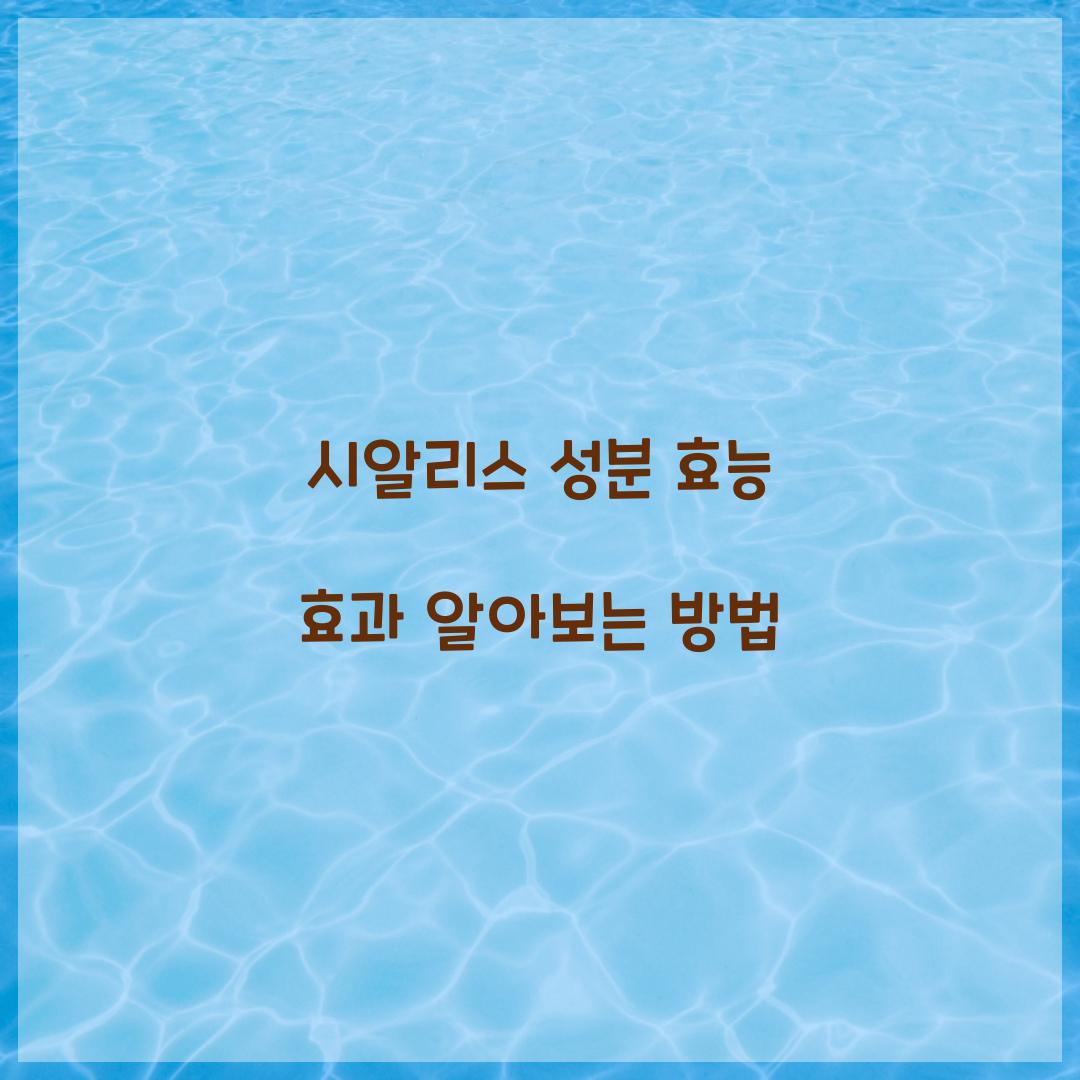 시알리스 성분 효능 효과