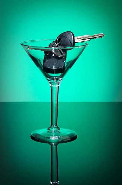 815-광복절-특사-명단-확인-방법