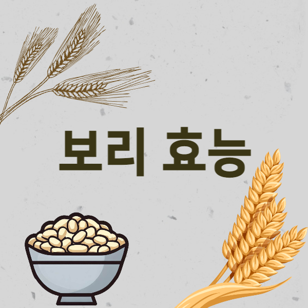 보리 효능