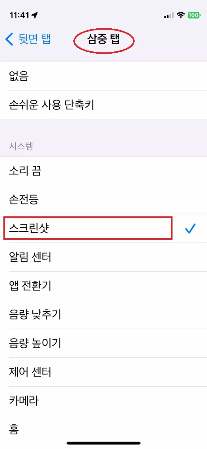 아이폰-메뉴-뒷면탭-스크린샷-선택