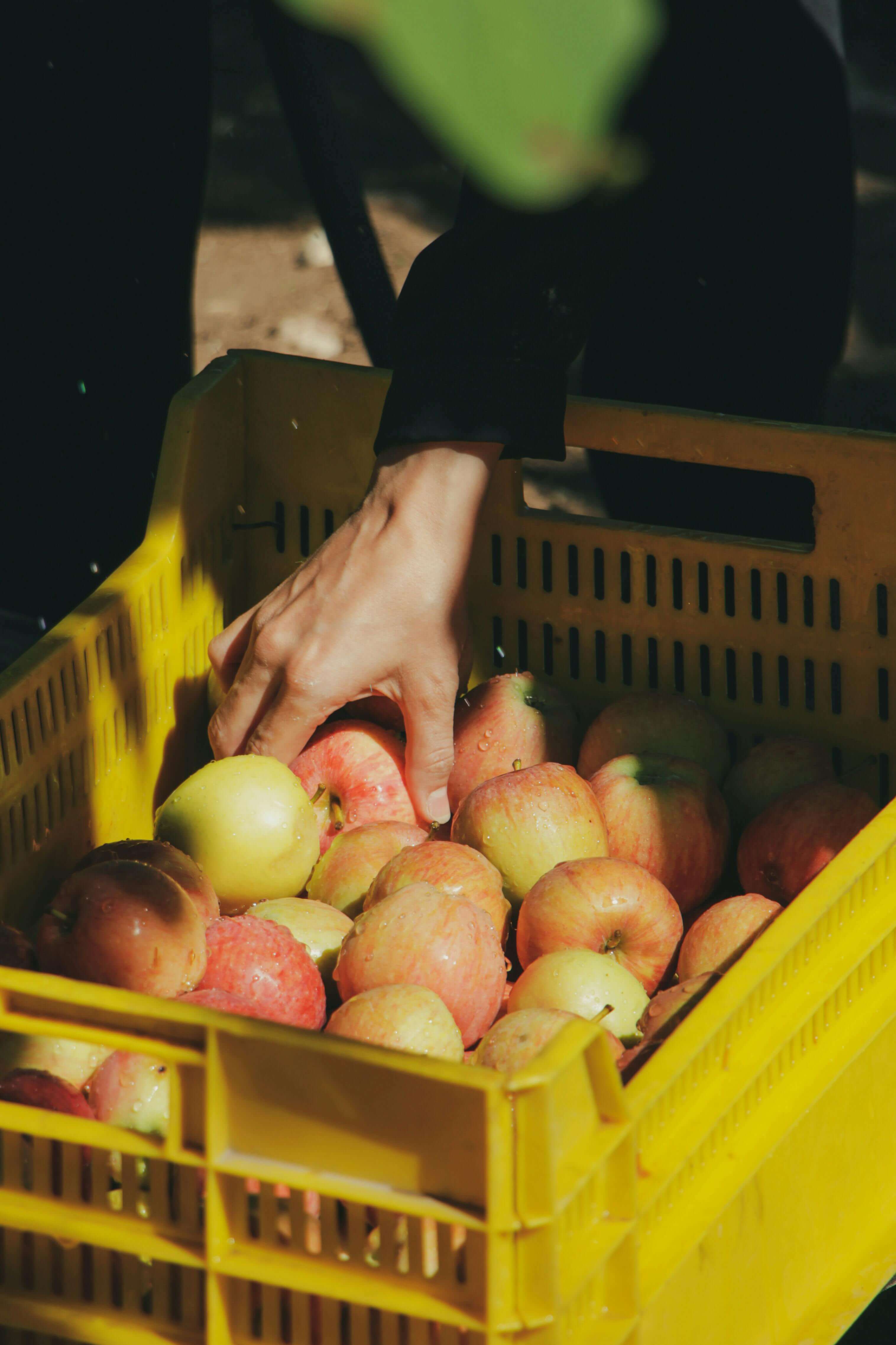 네이버 현대카드 단종