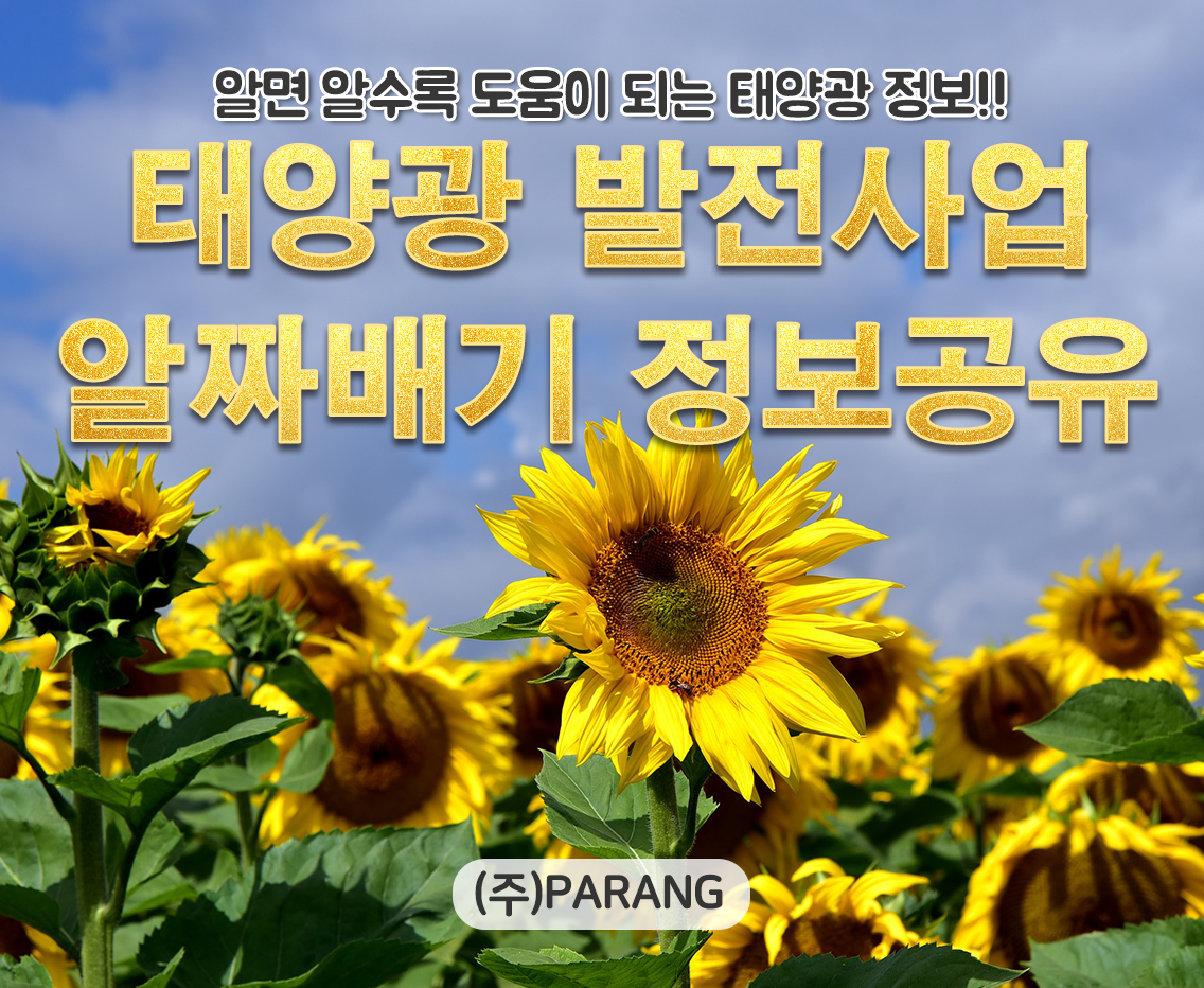 알짜배기 정보공유