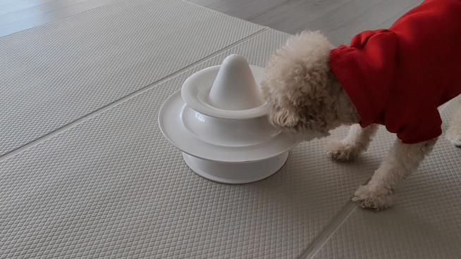 모브 트라이앵글 노즈워크 장난감