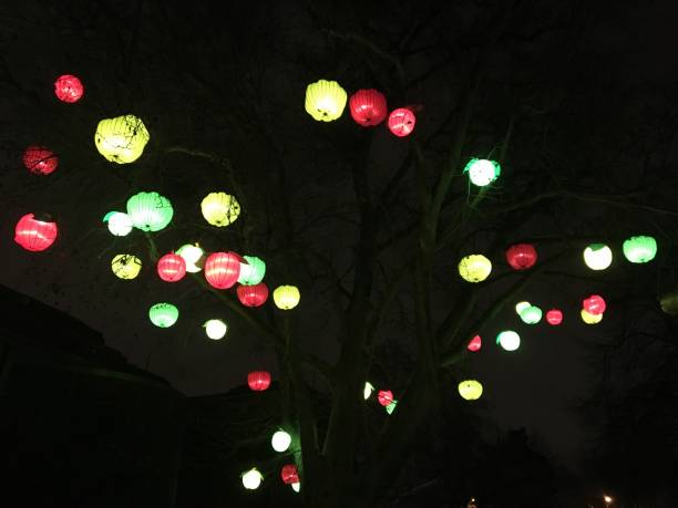 주차 및 교통 안내