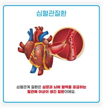 오메가 3 기능 
