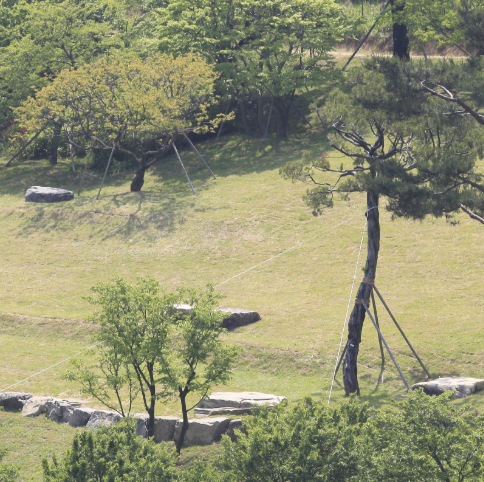 대구 군위 사유원 관람 예약