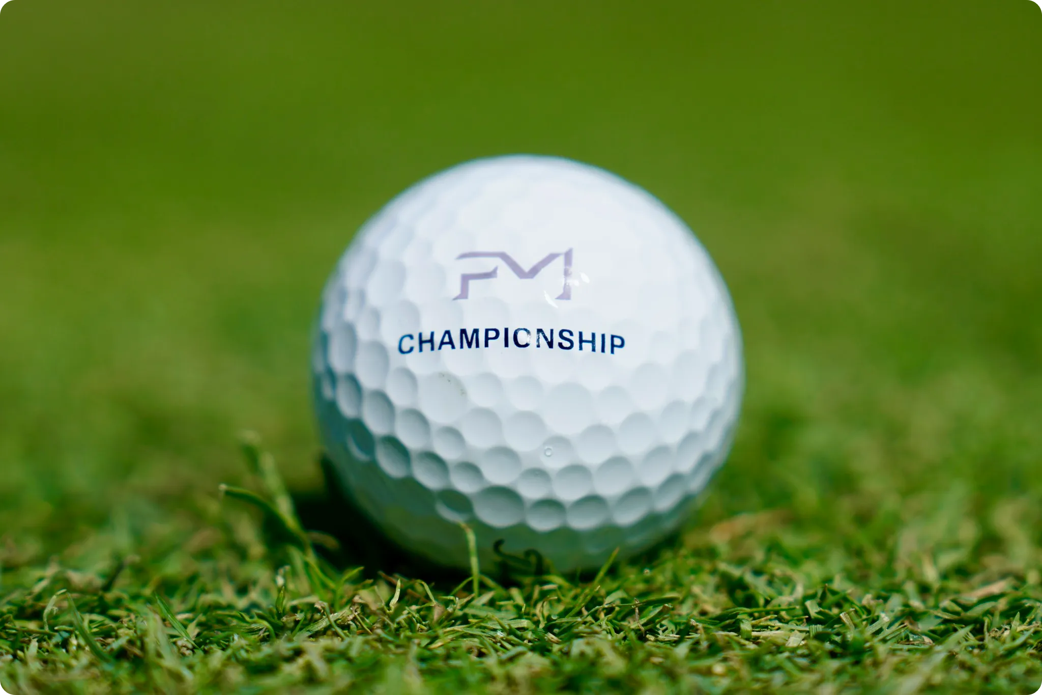 유해란 고진영 FM 챔피언십 우승 준우승 상금 결과 스코어 순위