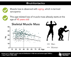 40대 근감소증 진행 — 기초대사량 감소 메커니즘