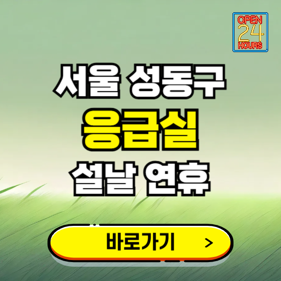 서울 성동구 설날 연휴 비상진료 응급실 병원 찾기 ❘ 내근처 24시 야간 심야 휴일 가능한 곳