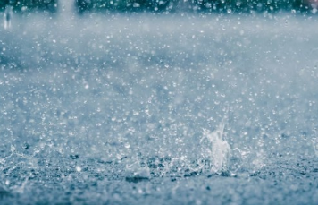 장마철 안부문자 모음집 BEST 100