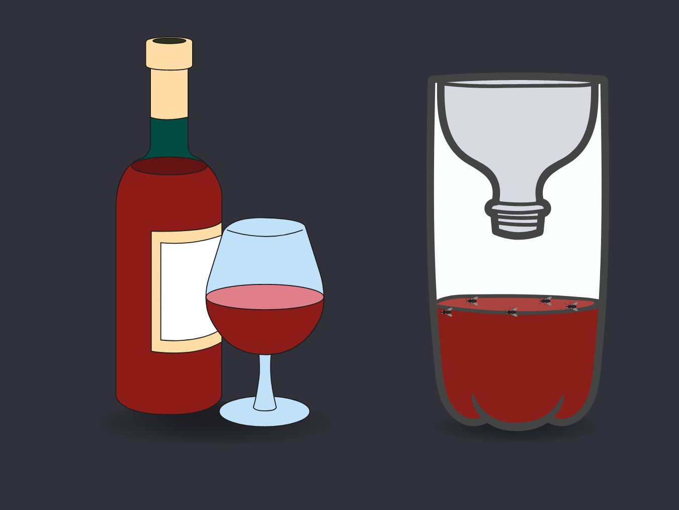 적포도주 초파리 트랩 만들기