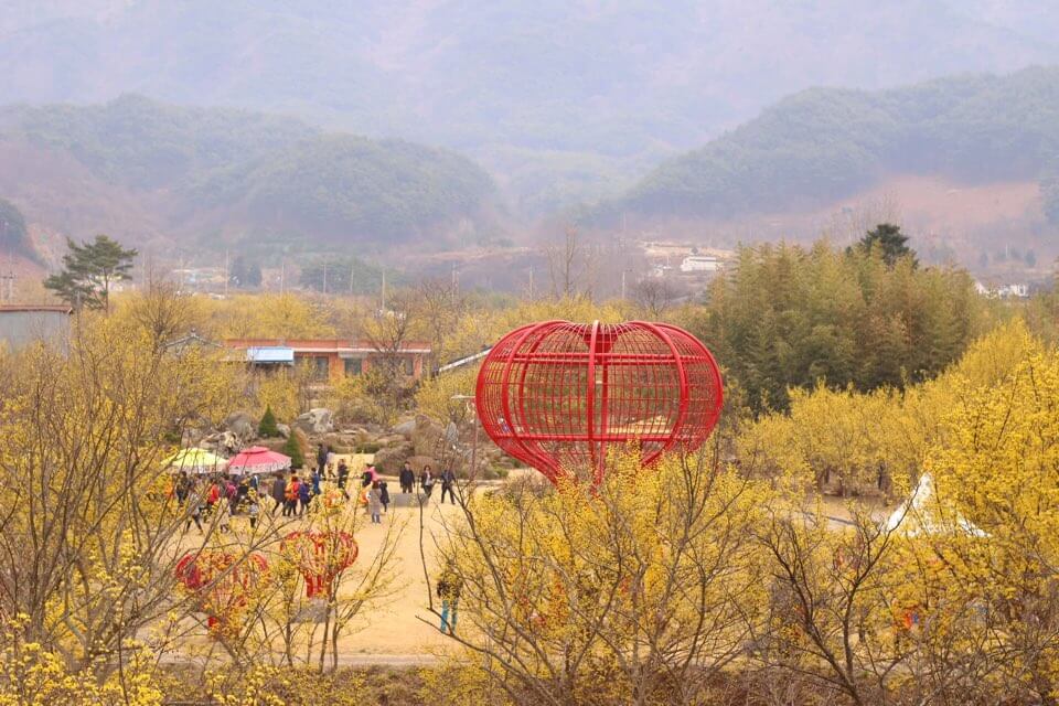 2023 구례 산수유축제