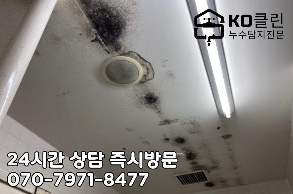 일산 동구 누수 탐지2