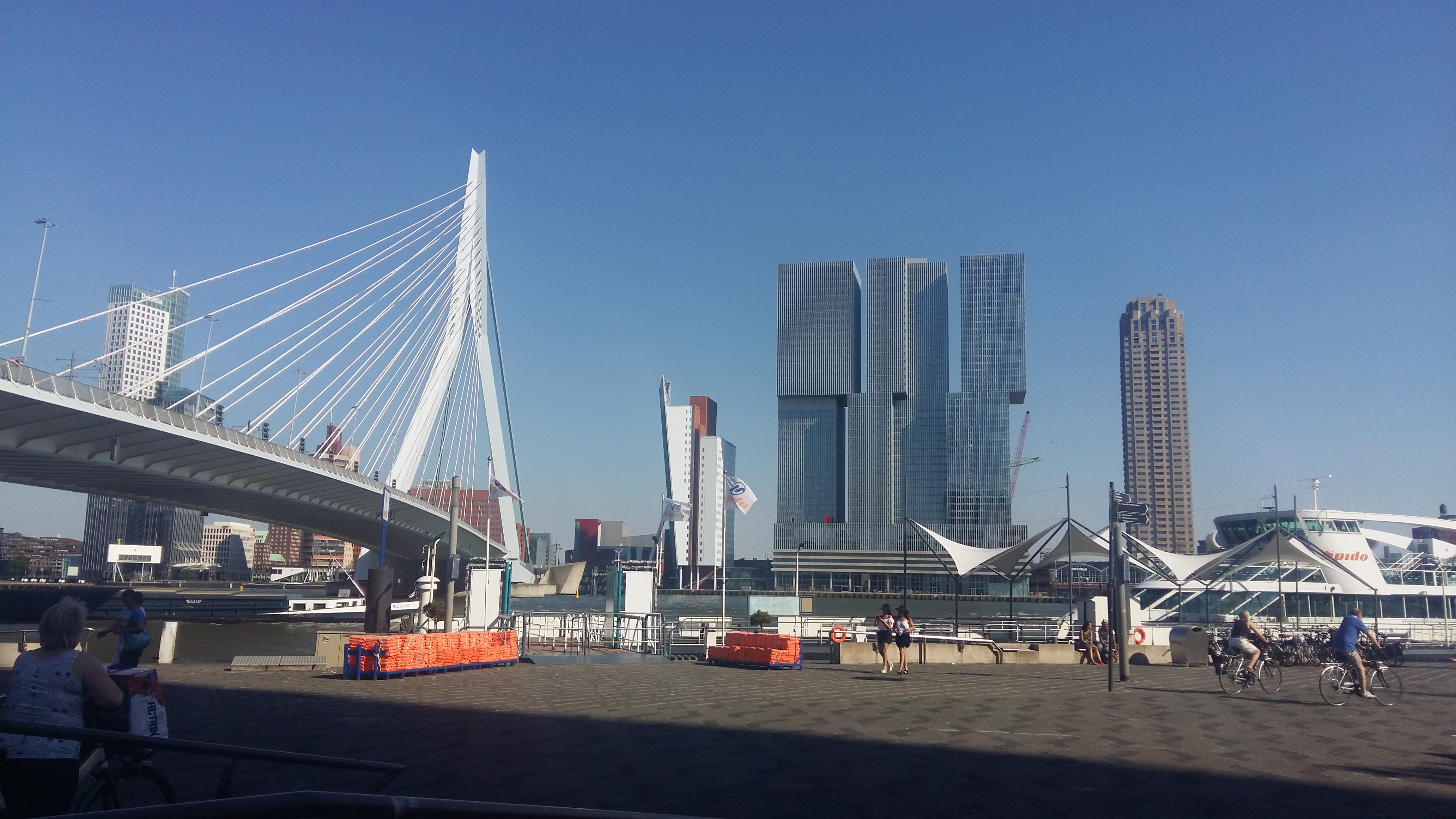 네덜란드 로테르담 에라스무스 다리와 건물