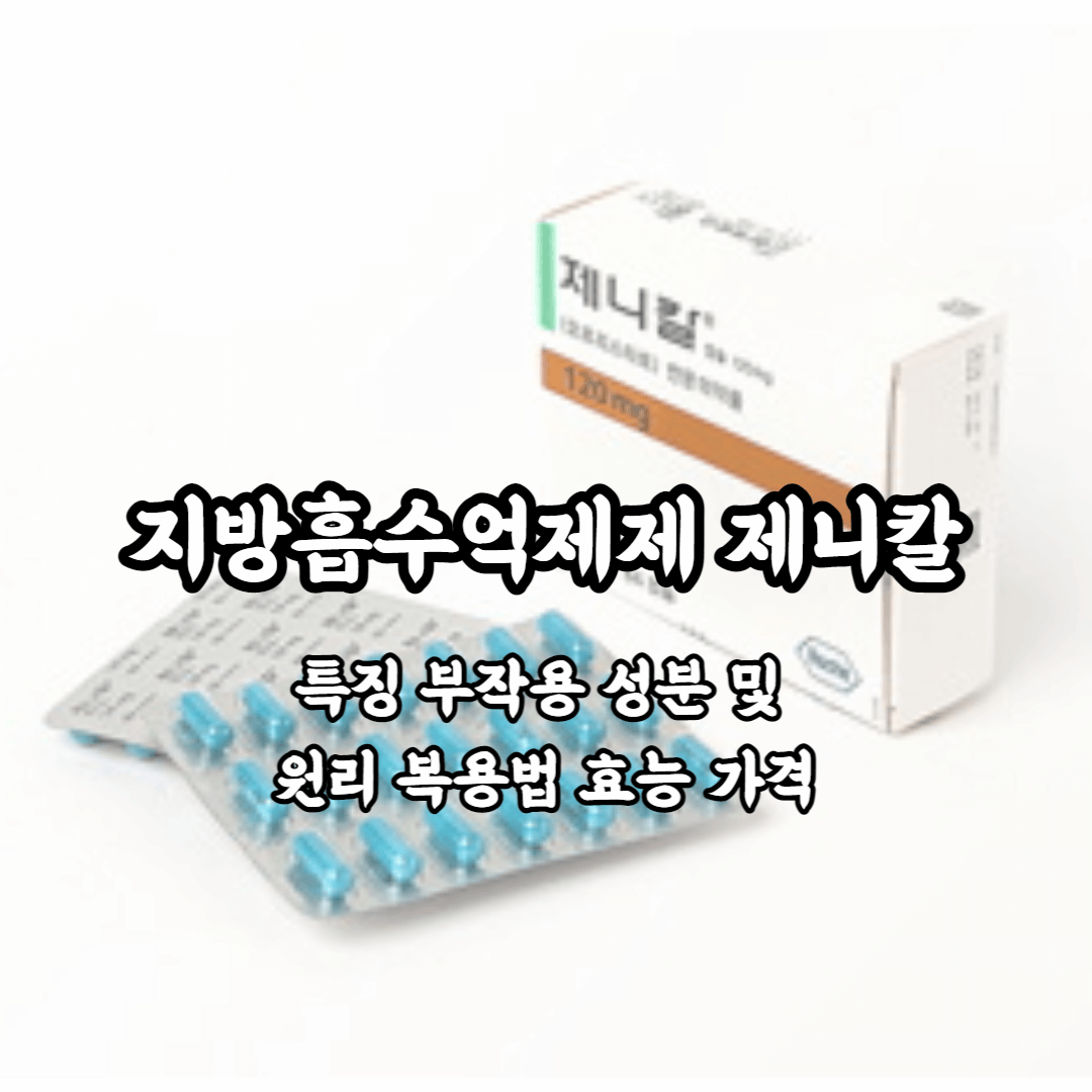 지방흡수억제제 제니칼 특징 부작용 성분 및 원리 복용법 효능 가격 총정리
