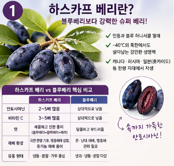 유기농-하스카프-베리-효능-분말-가루-맛-섭취방법