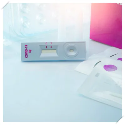 코로나 예방접종 무료대상 독감 동시접종 기간 날짜21