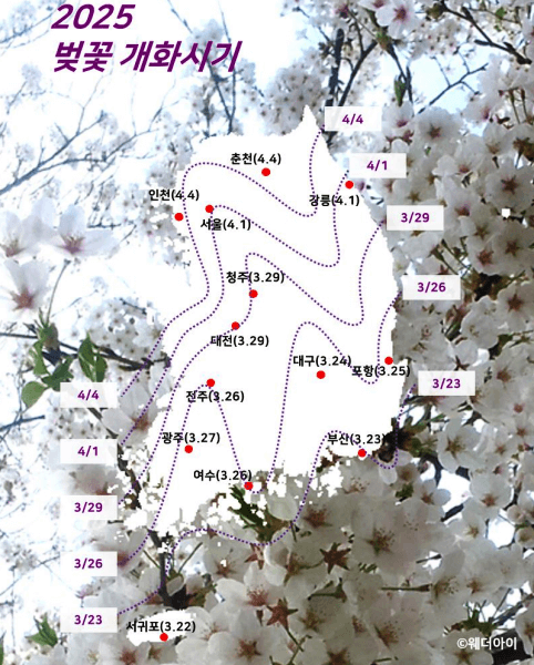 2025-벚꽃-개화시기-출처웨더아이