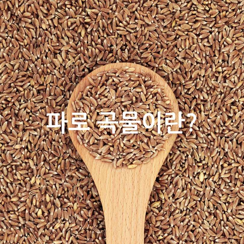 파로의 효능과 먹는방법