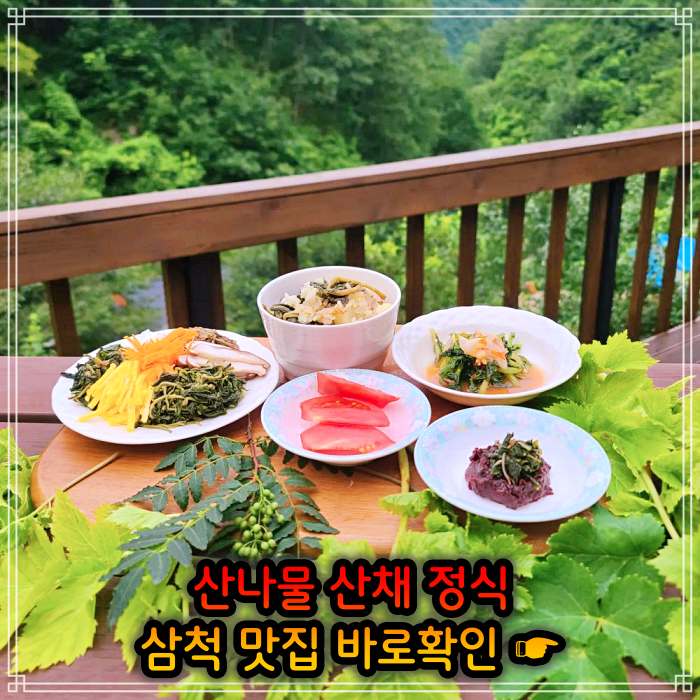 생방송투데이 강원 삼척 산나물 청국장 산채 나물 백반 정식 맛집