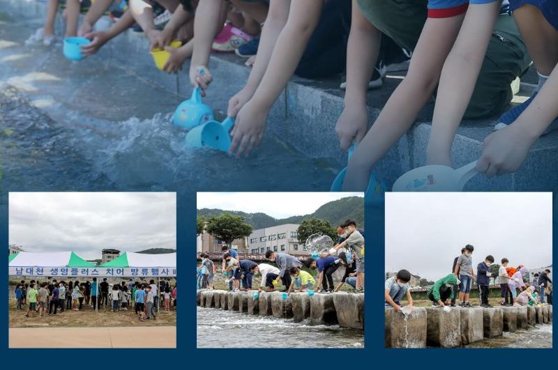 남대천-생명-플러스