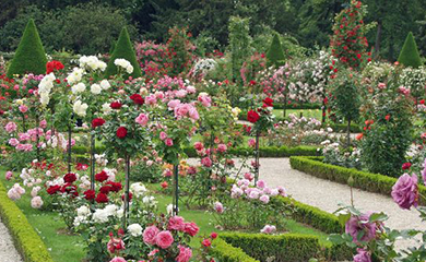 고양 국제꽃 박람회