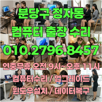 분당구 정자동 컴퓨터수리