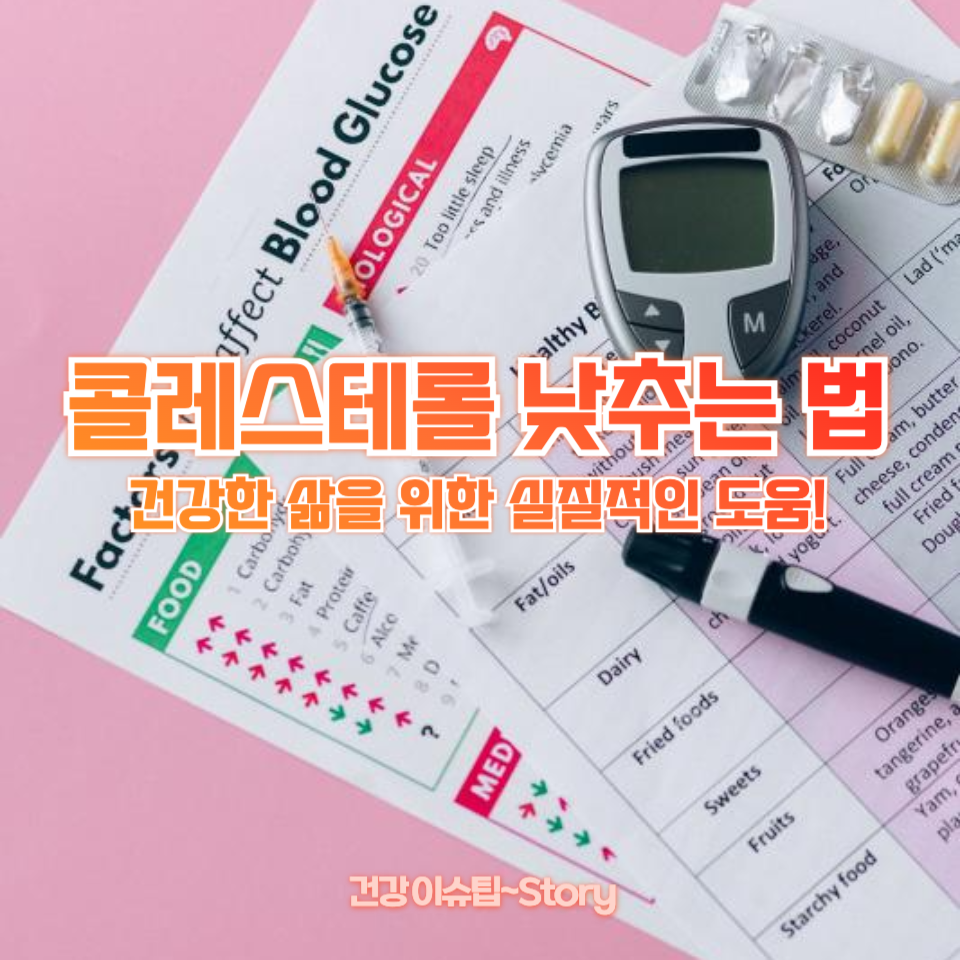 콜레스테롤 낮추는 법