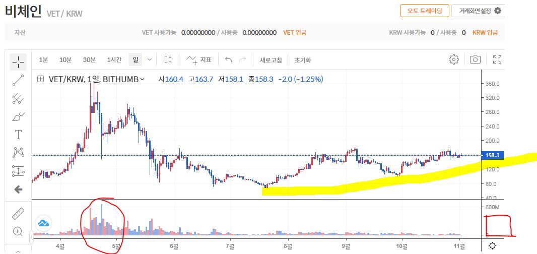 VET 코인 비체인 코인 전망 시세 가격 해부