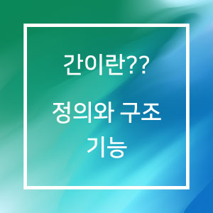 간이란?? 정의와 구조 기능
