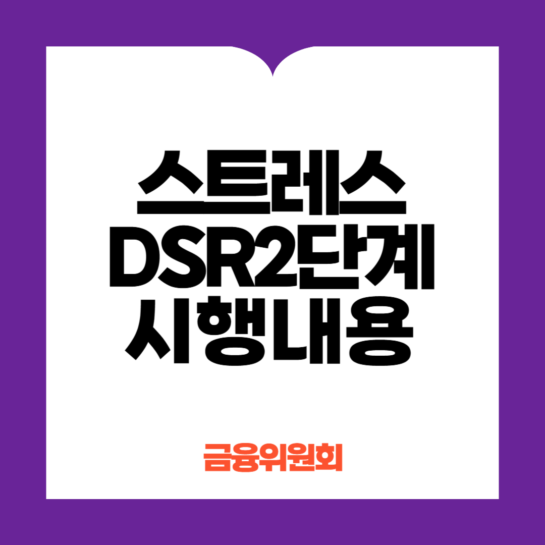 스트레스DSR 2단계 시행내용