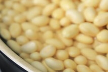 장 건강에 좋은 유산균