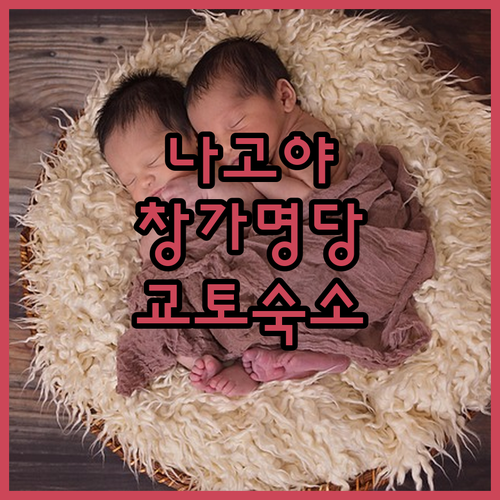 나고야 시립미술관 창가 명당 정보와 ..