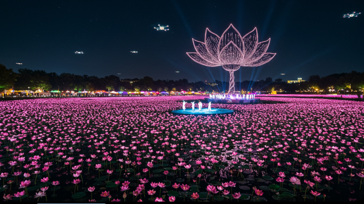 부여서동 연꽃축제