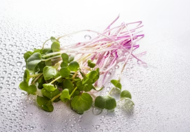 달큰한 봄동과 탱글한 새우의 만남&amp;#44; 실패 없는 전 부치기 노하우