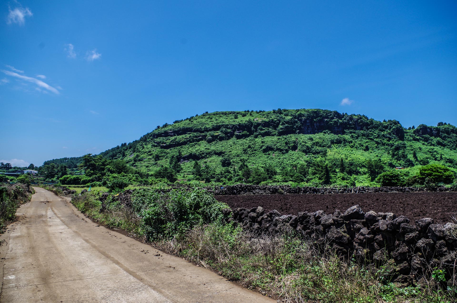 제주올ㄹ[ 1코스 관련 사진(제주관광공사 홈페이지에서)