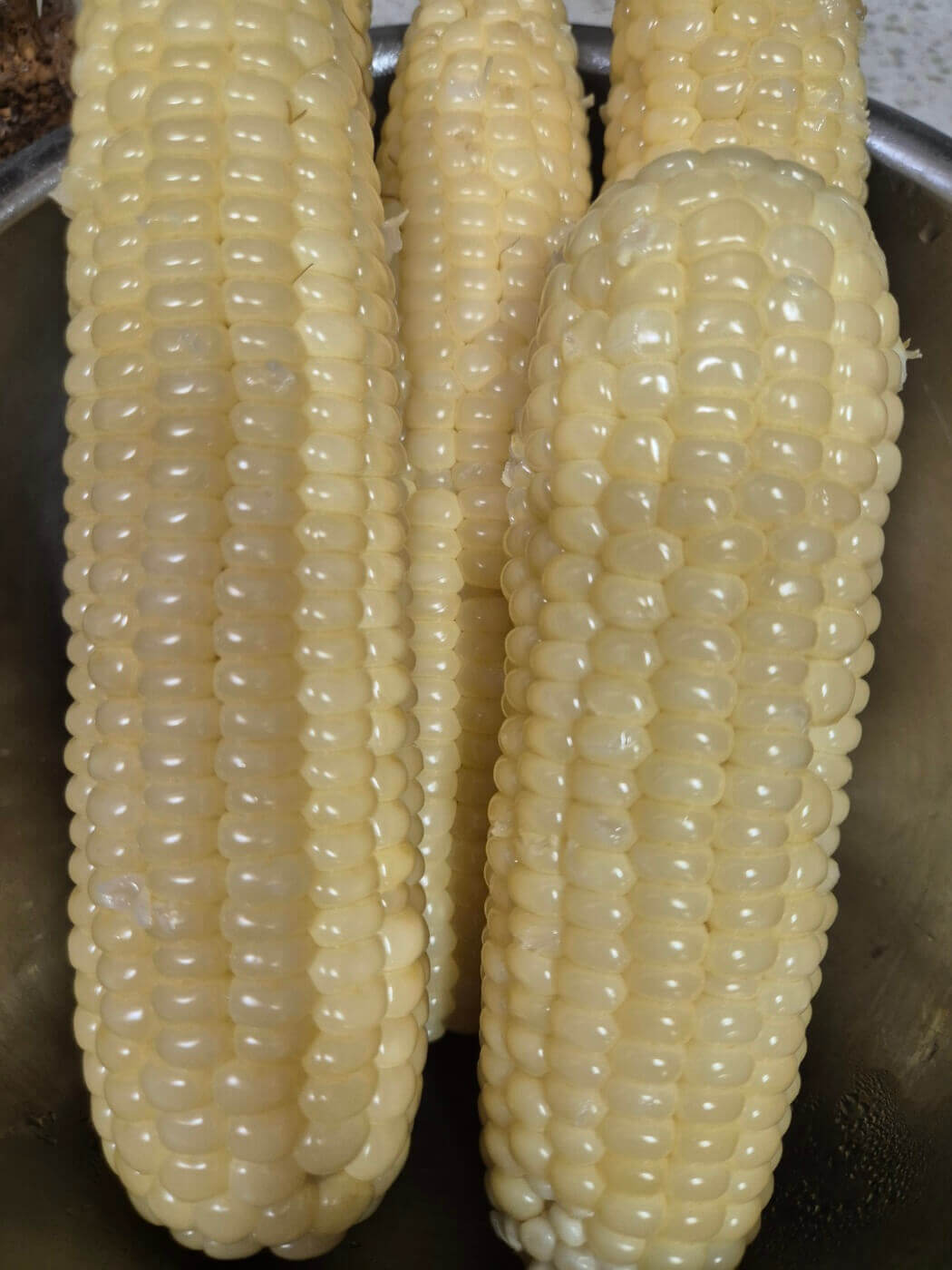 옥수수 삶는 법 시간 뉴슈가 및 보관방법 