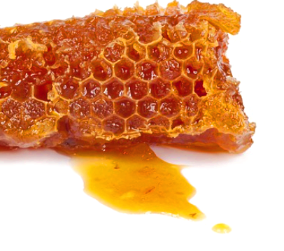 프로폴리스 효능