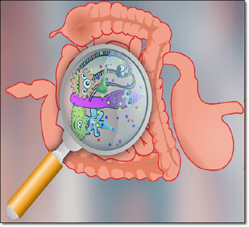 포스트바이오틱스 효능