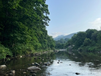 2025 여름휴가 계곡 추천 BEST 5 [+숨겨진 계속 명소]